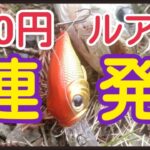 バス釣り おかっぱり 春の野池 100円ルアーでブラックバス釣り！