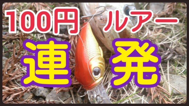 バス釣り おかっぱり 春の野池 100円ルアーでブラックバス釣り！