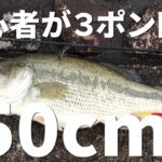 3000円セット３ポンドで４８cmのバスＧＥＴ！【ブラックバス釣り】