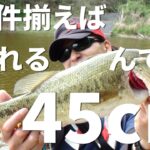 条件揃えば釣れるんです！【ブラックバス釣り】