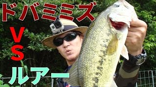 バス釣りはエサとルアーどっちが釣れるの？　2/2