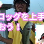 バス釣り　フロッグの使い方【カバーのあるクリーク攻略２】