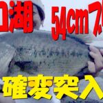 【バス釣り】モンスターブラックバスを見てみないか！？河口湖２回連続の大物！