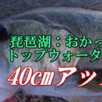 【琵琶湖：おかっぱりトップウォーターで40cmアップ】よりによってトラウト用タックルを使っているときに40cmアップのブラックバスがヒット・・・！