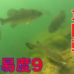 河口湖おかっぱりブラックバス釣りネスト攻防戦(難易度9)その2【073】虫くん釣りch