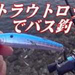 【バス釣り動画】トラウト用ベイトフィネスタックル＆トップウォーターでブラックバスを狙うと小バスでもグニャ～とロッドが曲がって楽しい！