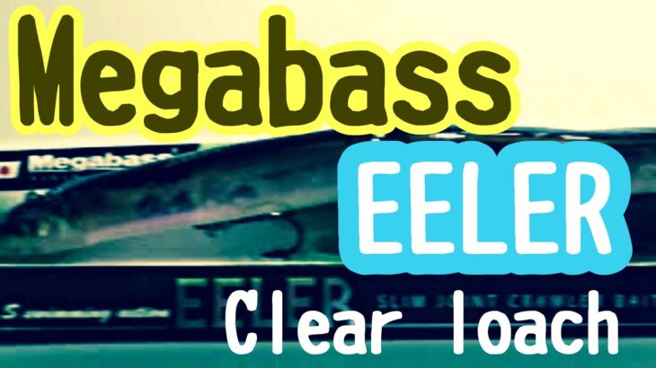 メガバス イーラ(CLEAR LOACH)　Megabass EELER　ブラックバス　ルアー