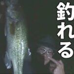 バス釣り　夜のブラックバスはサイズがデカイ説