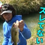 誰でも投げれば100匹釣れる夢の島行ってきた＃１　バス釣り　Bass fishing in Japan