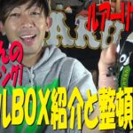 【バスフィッシング】タックルボックス紹介と整頓〜リファインルアーを選別〜