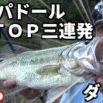 バス釣り　羽モノ縛り！ＴＯＰで３連発！！