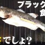 ブラックバスを釣って食う やっぱ塩焼きでしょ？ River-fishing Catch & Eat