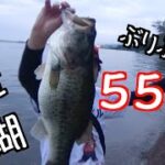 琵琶湖モンスター降臨！和邇浜で巨大ブラックバス