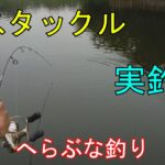 バスタックルでヘラブナ釣り 【実釣編】