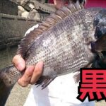 野池でバス釣りをした後に同じタックルで浜名湖チヌ釣りGO！