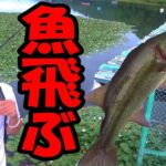 【バス釣り】魚がぶっ飛んできた！！鬼合わせでブラックバスぶっこぬき！