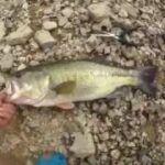 yasu 50アップ！岡山ブラックバス釣り/メガバスワンテン2016年8月 BIG Bass fishing