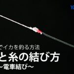 エギング入門者の方に！道糸とリーダーの結び方【電車結び】　YAMASHITA