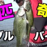 【バス釣り】１つのルアーで２匹バスが釣れた！【奥琵琶湖】