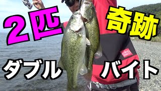 【バス釣り】１つのルアーで２匹バスが釣れた！【奥琵琶湖】