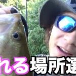 バス釣り　釣れない時は釣れる場所に行けば解決！