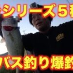 バス釣り　人気ルアーデラシリーズ全部でバスを釣る！