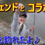 【スペシャルコラボ編】内海でブラックバス釣ってきた！【73本目】