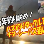 バス釣りタックルでチヌ・シーバス狙ってみた！海釣り