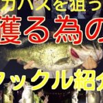 琵琶湖バス釣り、デカバス狙いのタックル紹介。