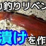 ＃1 イカの沖漬けが食べたい！イカ釣りリベンジ！！