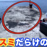 #1　釣りの聖地五島列島で巨大イカを釣りまくる！