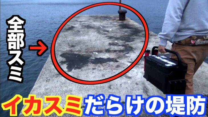 #1　釣りの聖地五島列島で巨大イカを釣りまくる！