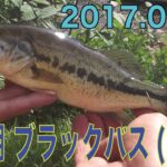 丹沢湖 ブラックバス 釣り 2017.05.11（前編）