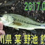 神奈川県 某 野池 ブラックバス釣り 2017.05.18