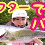 【釣りガール】バス釣り☆アフターのデカバス出現！お腹凹んでるけど長い！in弁慶橋ボート場