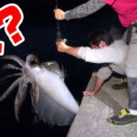 通称「デビル」と呼ばれる巨大イカが釣れてしまった…