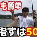 夏になると大量に釣れるあの魚を釣ろう！