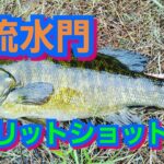 yasu 激流水門スピニングタックルで攻略！川スモールマウスバス釣り2017年8月bass fishing利根川