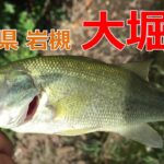 岩槻の大堀池でバス釣り！春日部キャンベルからのルート案内あり