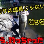 【バス釣り】デカバスは高級タックルじゃなくても余裕で釣れる