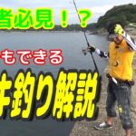 簡単、楽しいサビキ釣り解説動画！