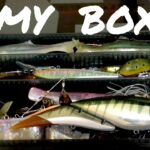 晩秋〜冬のバス釣り！仕留めるためのオカッパリBOX紹介