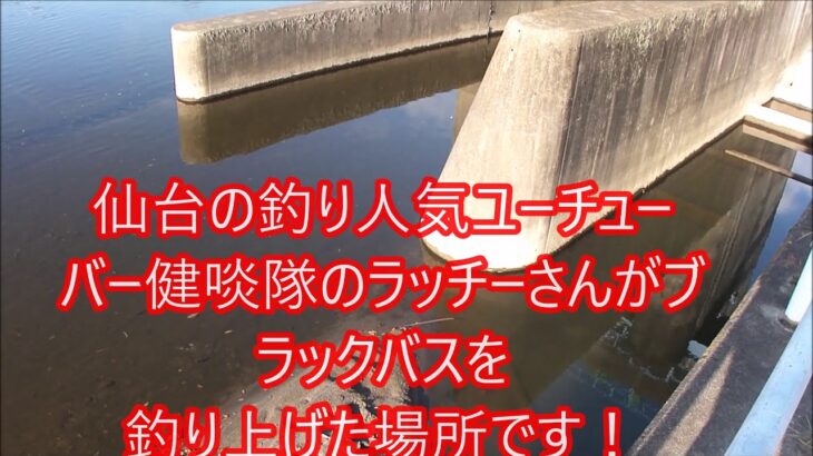 [バス釣り]仙台の人気釣りユーチューバーがブラックバスを釣り上げてる場所に行ってみたら？