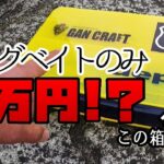 琵琶湖のビックベイター タックルボックス凄すぎ！【ビッグベイト バス釣り】