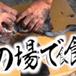 釣れたイカをその場で食う！【エギング】part2