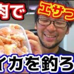 鶏でイカを釣る！？イカ釣りのためのエサを自宅で作る！！