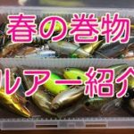 琵琶湖バス釣り、最近のタックルボックスの中身のご紹介！