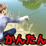 小バスはかんたんに釣れる？？？本当に？？？