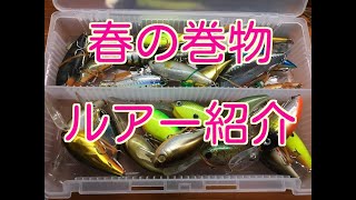 琵琶湖バス釣り、最近のタックルボックスの中身のご紹介！