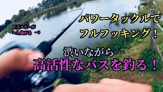 パワータックルで高活性なバスを釣る！マサウオ・ハートテール炸裂！